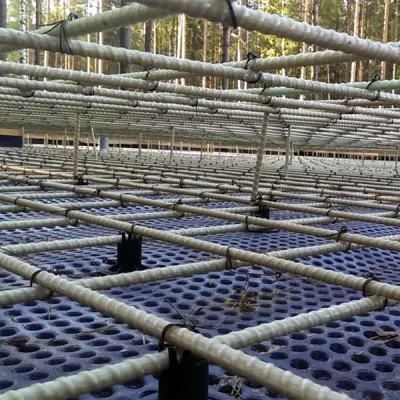 Barras de refuerzo reforzadas con fibra de basalto de alta resistencia/ Barras de refuerzo de fibra de carbono Bfrp