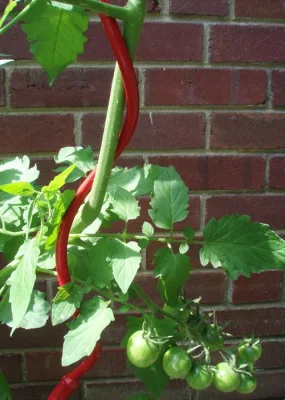 Enrejado de plantas de jardín de alta calidad, soporte en espiral de tomate, estacas en espiral para cultivo de plantas, estaca de tomate de alambre de Metal