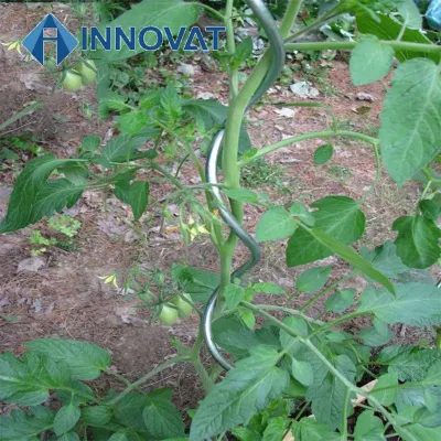 Soportes para plantas en espiral Estacas metálicas para tomates Soporte para tomates de acero/ Varilla en espiral / Soporte para plantas